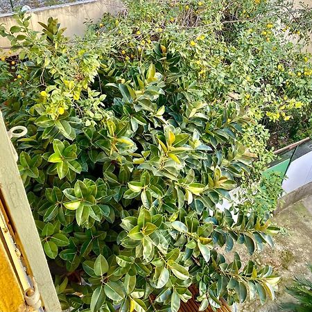 Lovely & Cozy Duplex Heart Of Nice With Bathtub! Ngoại thất bức ảnh